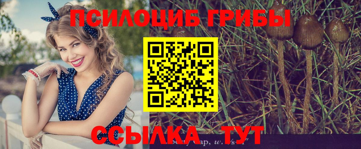 купить   Псилоцибиновые грибы Psilocybine cubensis  Галлюциногенные грибы Psilocybe  Вход с VPN  Верхняя Пышма 